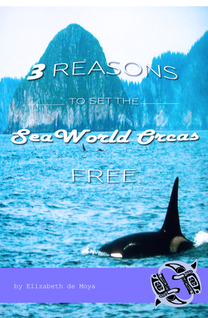 3 reasons to set the seaworld orcas free