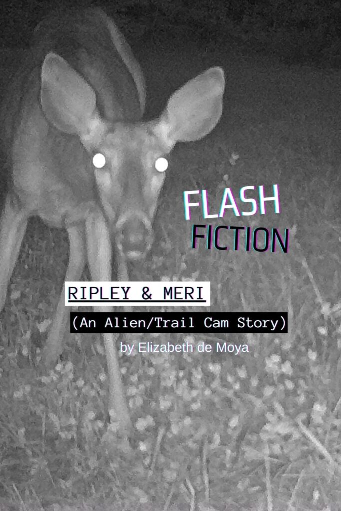 Ripley and Meri Alien Trail Cam Story by Elizabeth de Moya Pin